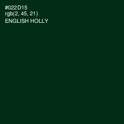 #022D15 - English Holly Color Image